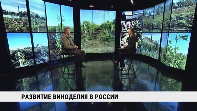 Развитие виноделия в России / Андрей Нечаев смотреть онлайн
