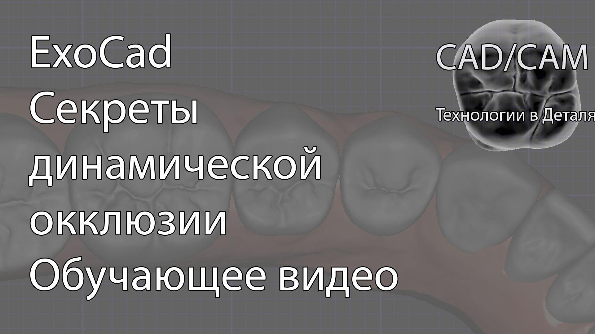Секреты динамической окклюзии смотреть онлайн