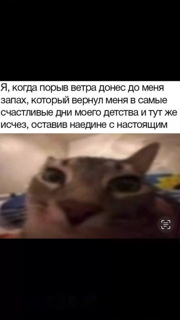 Запах