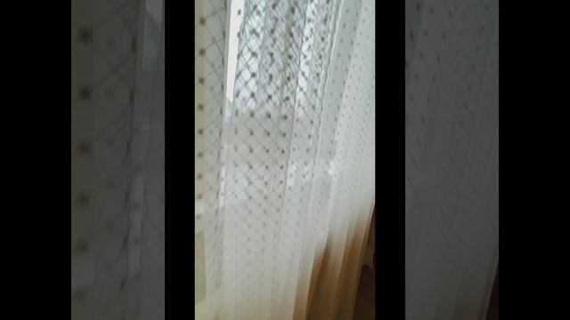 copy_0E6F42CF-EEA4-4945-BDF8-EBA06CEE87D7 смотреть онлайн