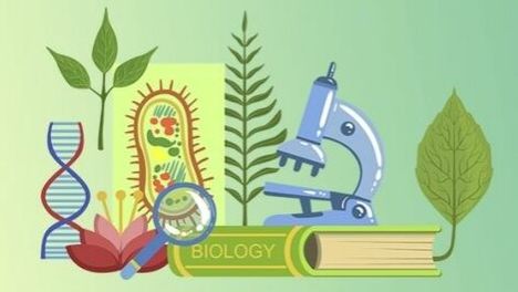 Биология 11 класс. Гипотезы возникновения жизни. смотреть онлайн
