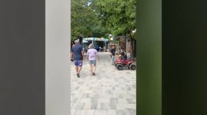 Лазаревское ⛵⛵Сочи 🏖️🌊парк☘️июнь,2025