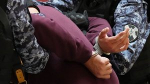 Богородский маньяк: в Подмосковье задержан предполагаемый убийца нянь