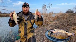 ВЕДРО КАРАСЕЙ ЗА 2 ЧАСА! ЖОР РЫБЫ ОСЕНЬЮ! РЫБАЛКА НА ПОПЛАВОК И ДОНКУ В АСТРАХАНИ!