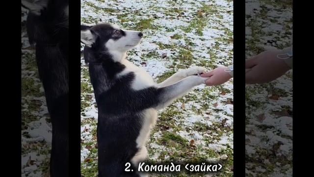 1429.mp44 смотреть онлайн