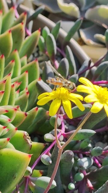 23 ноября погода +23С смотреть онлайн