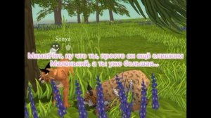 Мини фильм Wildcraft «Война между братом и сестрой» 3 серия