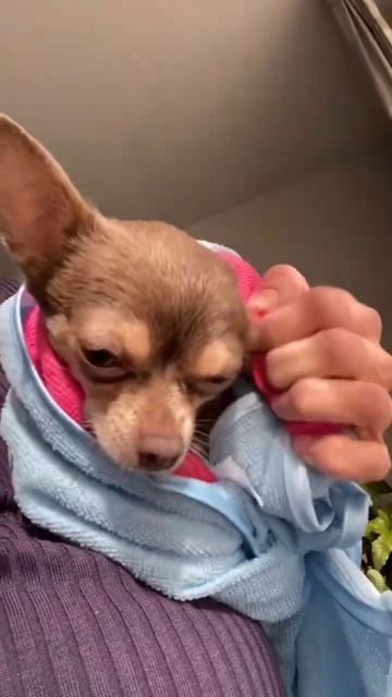 После купания