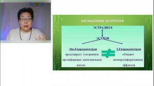 Связь работы жкт с другими органами