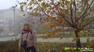 Мариуполь 📽️ сейчас 🏗️🏢 низкий поклон и спасибо всем,кто восстановливает город 🙏из руин.♥️