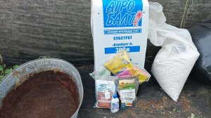 Горшок и Грунт для Клубники: Без Этого Ничего Не Вырастет! Клубника ЗИМОЙ: Секрет Идеального Горшка!