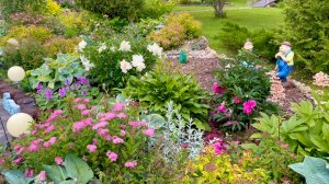 Подбор и сочетание растений в многолетнем саду.