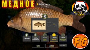 Оз. Медное. Карасекарп. Трофей Карасекарпа. Точка лова Карасекарпа. Russian Fishing 4. рр4.