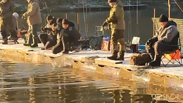 1000053424.mp4 смотреть онлайн