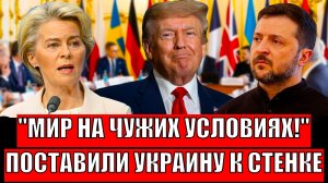 "Мир на чужих условиях"// Поставили Украину перед фактом! Зеленский полчил своё!
