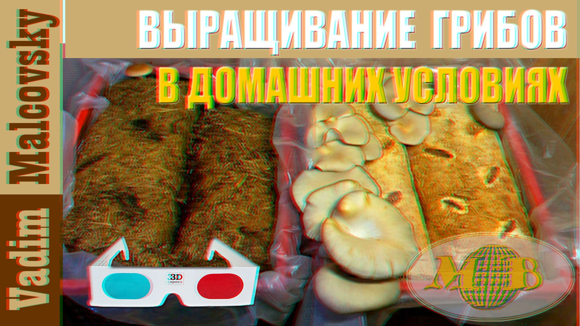 3D stereo red-cyan Выращивание вешенки и опят в домашних условиях. Мальковский Вадим смотреть онлайн