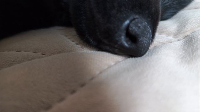 Вермут и соплюшки смотреть онлайн