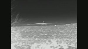 Sytong MM06-50LRF: Два охотника и один заяц