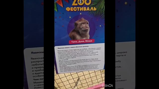 23.11.2025 Зоо-выставка в Мегастрое. Ребята вдоволь наобщались с себе подобными существами 😁 смотреть онлайн