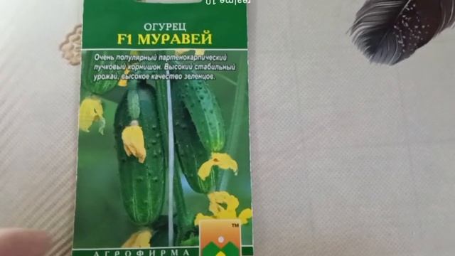 Огурец «Муравей F1» — ультраранний авторский гибрид с пучковой завязью смотреть онлайн