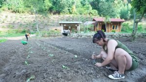 Девушка осваивает земледелие и сельское хозяйство. Жизнь во Вьетнаме