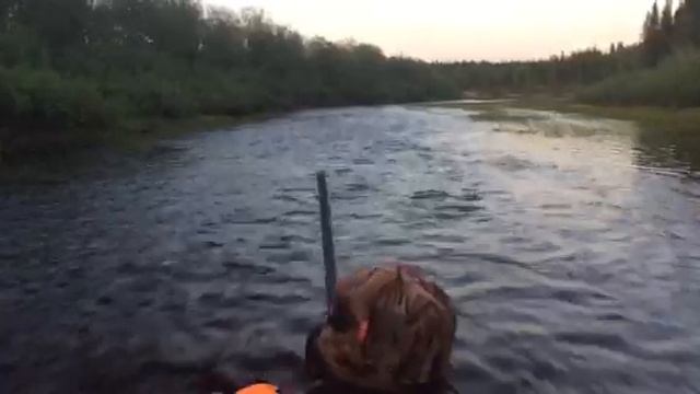 Video-d6d4c90fa2569fd425a51988cb501d8e-V