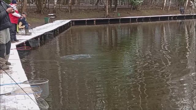 Рыбалка на Спорт-зоне. В приоритете по поимкам лесистая сторона. Клёвое место Лосиный остров. смотреть онлайн