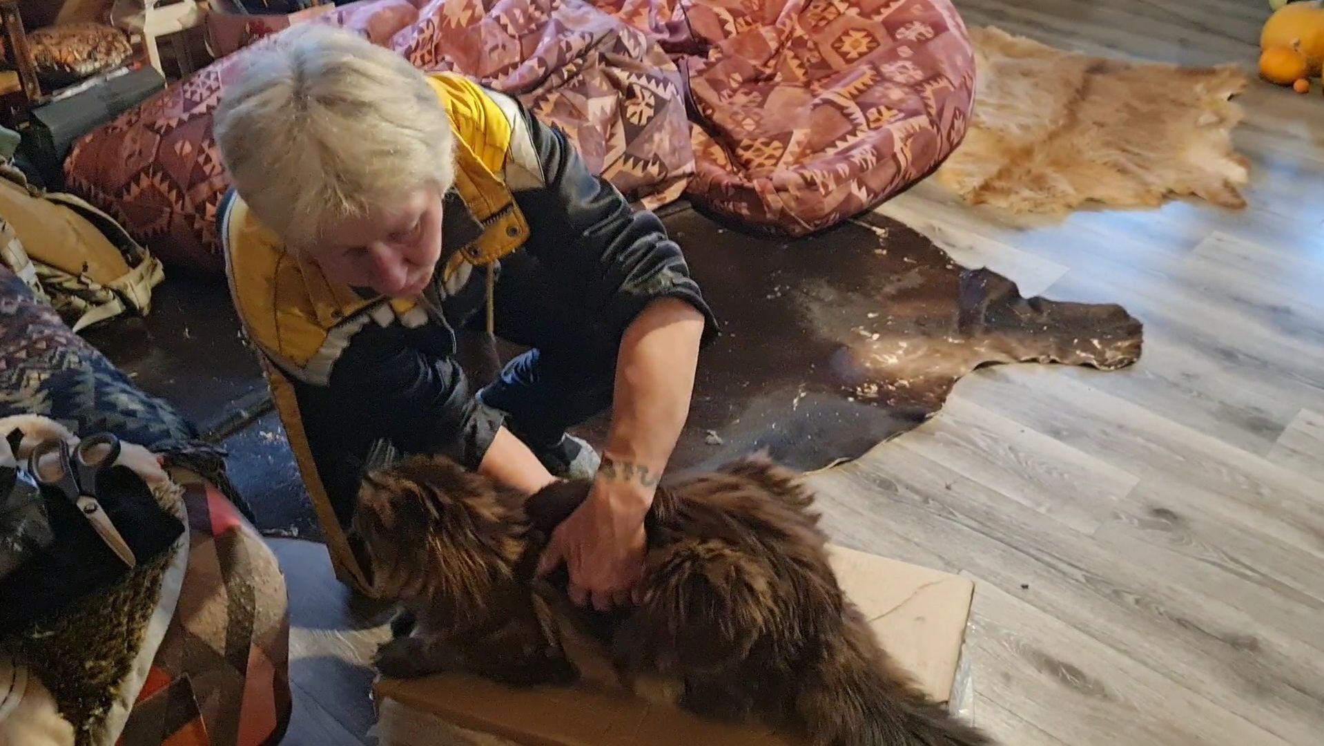 День подарков и небольшая прогулка смотреть онлайн