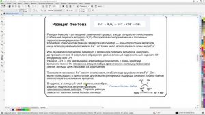 Вихревая медицина - Синергия жизни (23,11,2025)