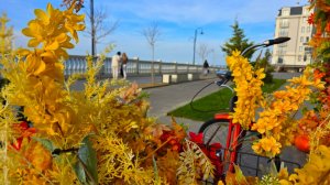 Анапа ноябрь 2025