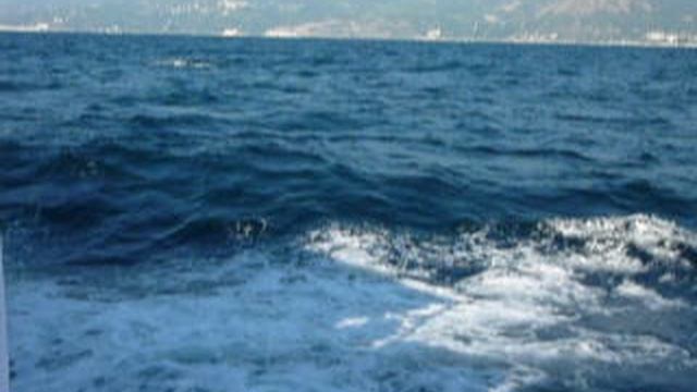 P1010498 смотреть онлайн