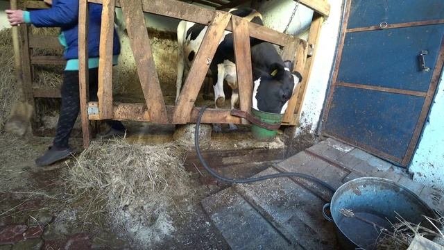 Влог от 08.10.2021 смотреть онлайн