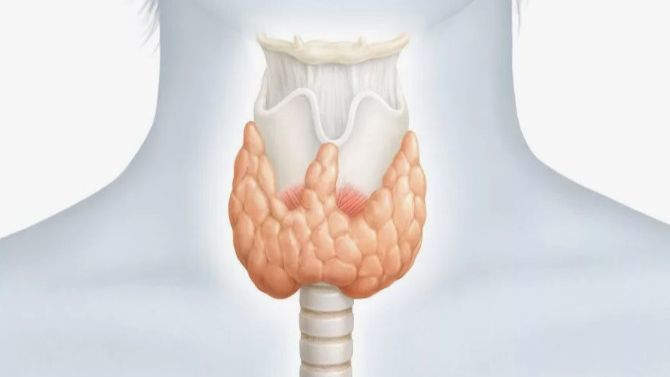 Заболевания щитовидной железы при беременности смотреть онлайн