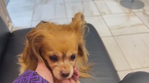 Сняли Швы 🧵Влог🤗Жарю корюшку .Испекла СОЧНИКИ из Песочного теста .