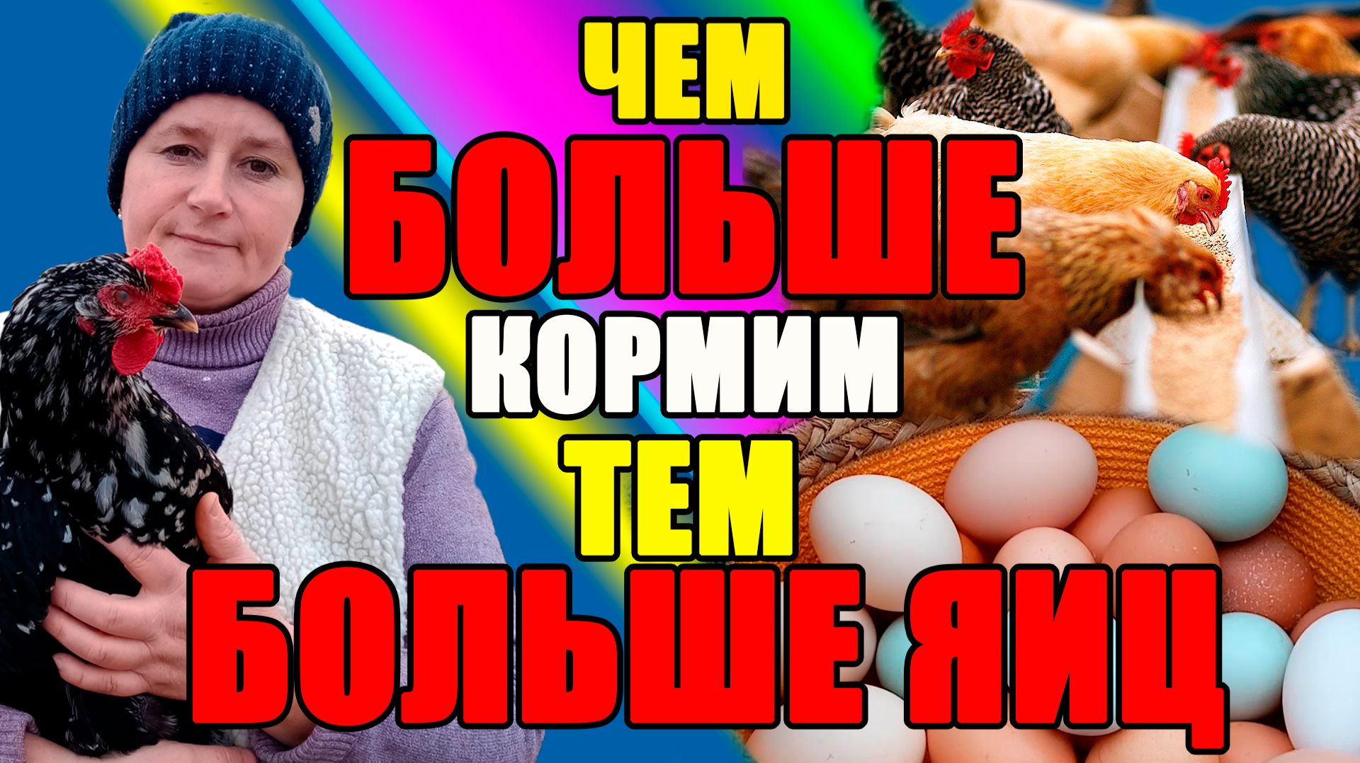 Чем БОЛЬШЕ кормим, тем БОЛЬШЕ яиц. смотреть онлайн