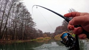РЫБАЛКА НА СПИННИНГ В НОЯБРЕ! ЛОВЛЯ ЩУКИ В ДОЖДЬ! ОСЕННЯЯ РЫБАЛКА НА МАЛОЙ РЕКЕ НА СПИННИНГ 2025