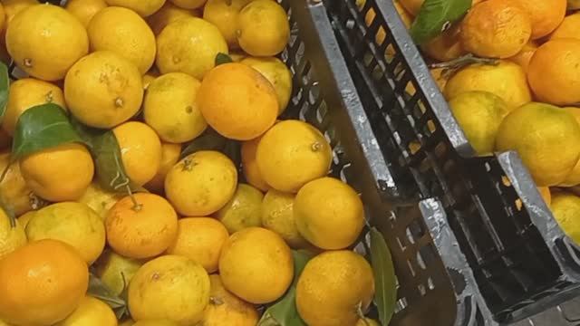 В Светофоре Падают цены👍Такого давно не было ❗Обзор товаров и продуктов питания в магазине смотреть онлайн