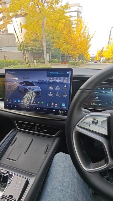 BYD, моя 