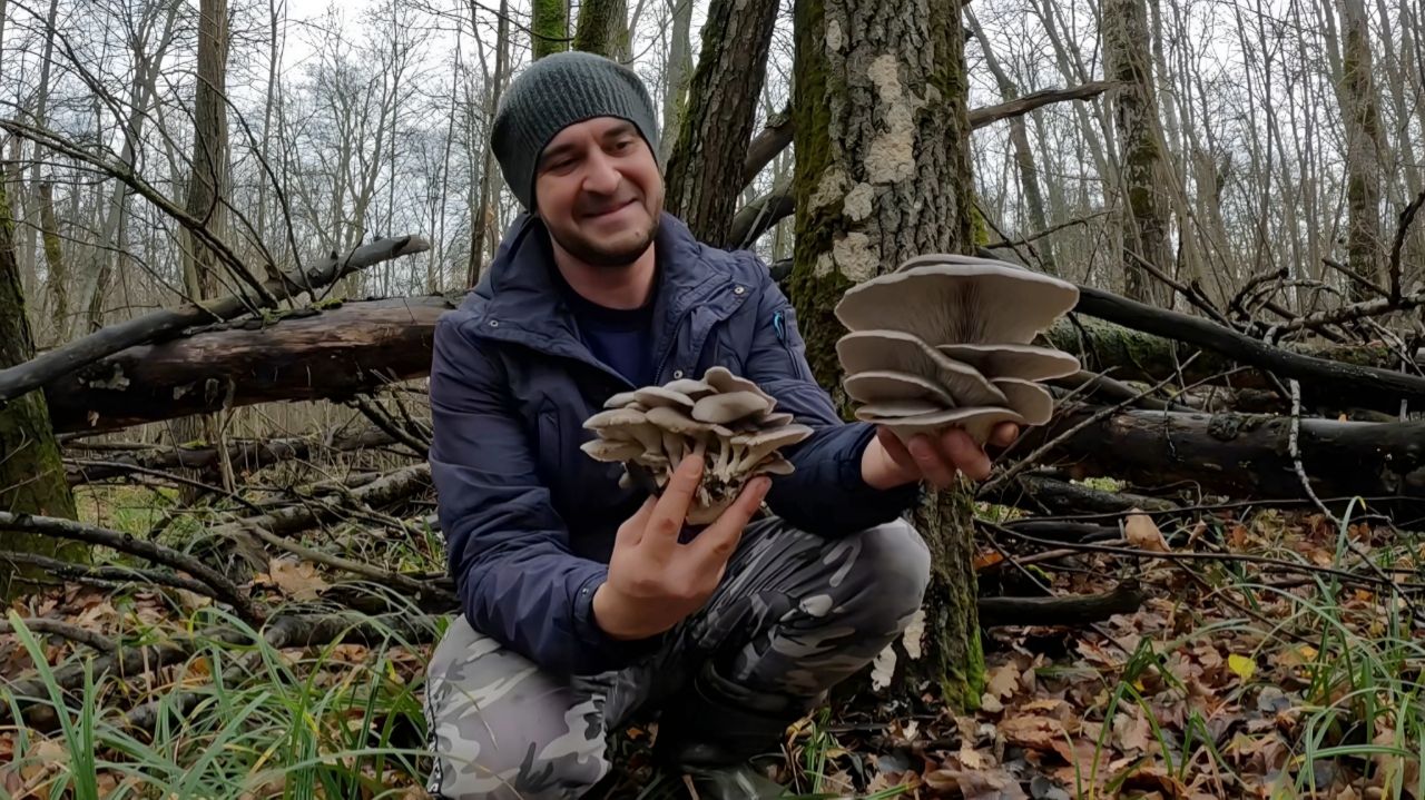 НАШЁЛ ГРИБНОЙ КЛАД!!! Тихая охота в ноябре 2025 смотреть онлайн