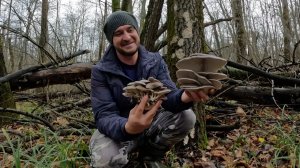 НАШЁЛ ГРИБНОЙ КЛАД!!! Тихая охота в ноябре 2025