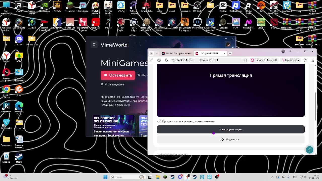 играю в соло левелинг