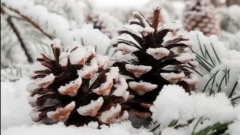 Доброе утро понедельника! Музыкальная открытка удачной недели 🌞