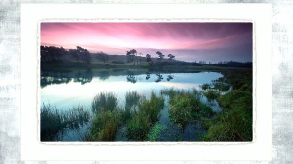 Stive Morgan - Checkpoint (version 1)