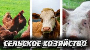 ЧТО ТАКОЕ СЕЛЬСКАЯ ЖИЗНЬ И СЕЛЬСКОЕ ХОЗЯЙСТВО