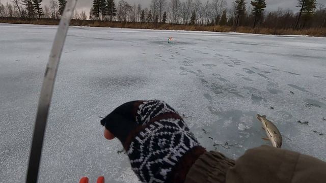 Открытие сезона зимней рыбалки 26-27