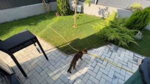 ВЛОГ Жара стоит АНОМАЛЬНАЯ ! У соседа инсульт / Делаю уборку дома уже несколько дней