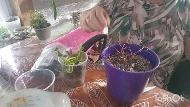 22-11-2025. Жизнь в деревне.Приготовила ужин.Приехали гости. смотреть онлайн