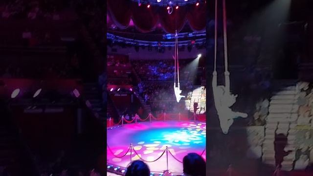 Трюки под куполом цирка. Брянск Шоу воды огня и света смотреть онлайн