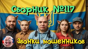Сборник №117