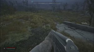 Сталкер 2 магазин на обочине уникальная винтовка тайник затон